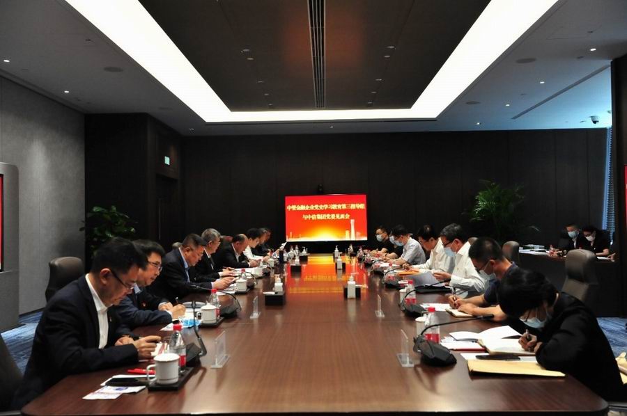 调整大小 召开中管金融企业党史学习教育第三指导组与尊龙凯时集团党委见面会.jpg